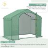 Mini Walk-in Greenhouse